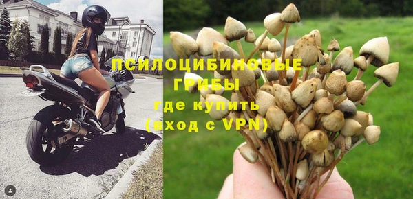 прущая мука Козельск