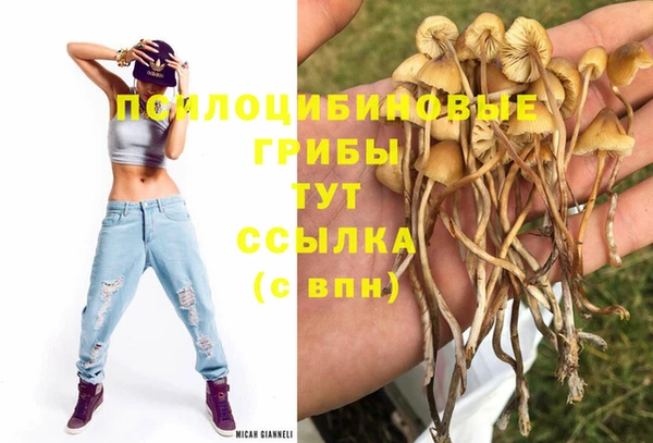 прущая мука Козельск