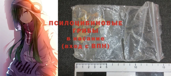 спайс Покачи