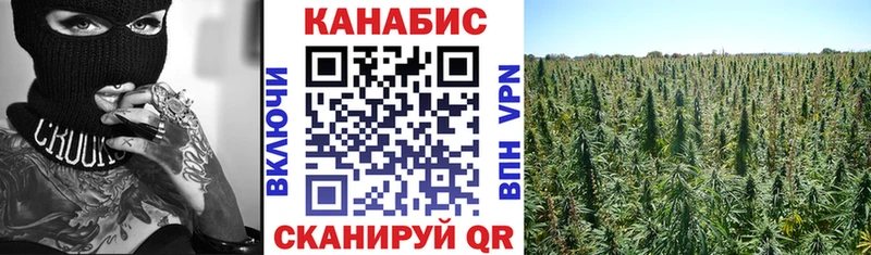 Каннабис White Widow  OMG зеркало  Котово  сколько стоит 